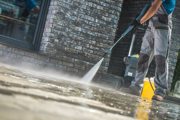 Best Roof Washing  in Apollo Beach, FL
