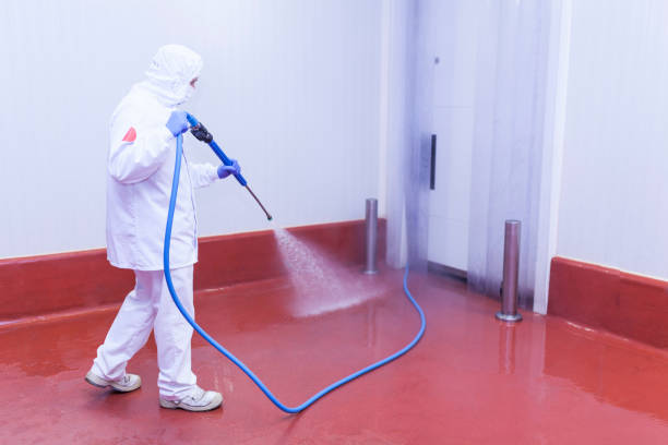 Best Spring Cleaning  in Apollo Beach, FL